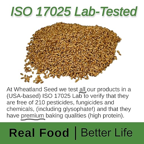 Miniatura 4 de Wheatland™ Bayas de trigo rojo duro orgánico • Cubo de 20 libras, sellado en Mylar • Almacenamiento de alimentos de emergencia • Cultivado por