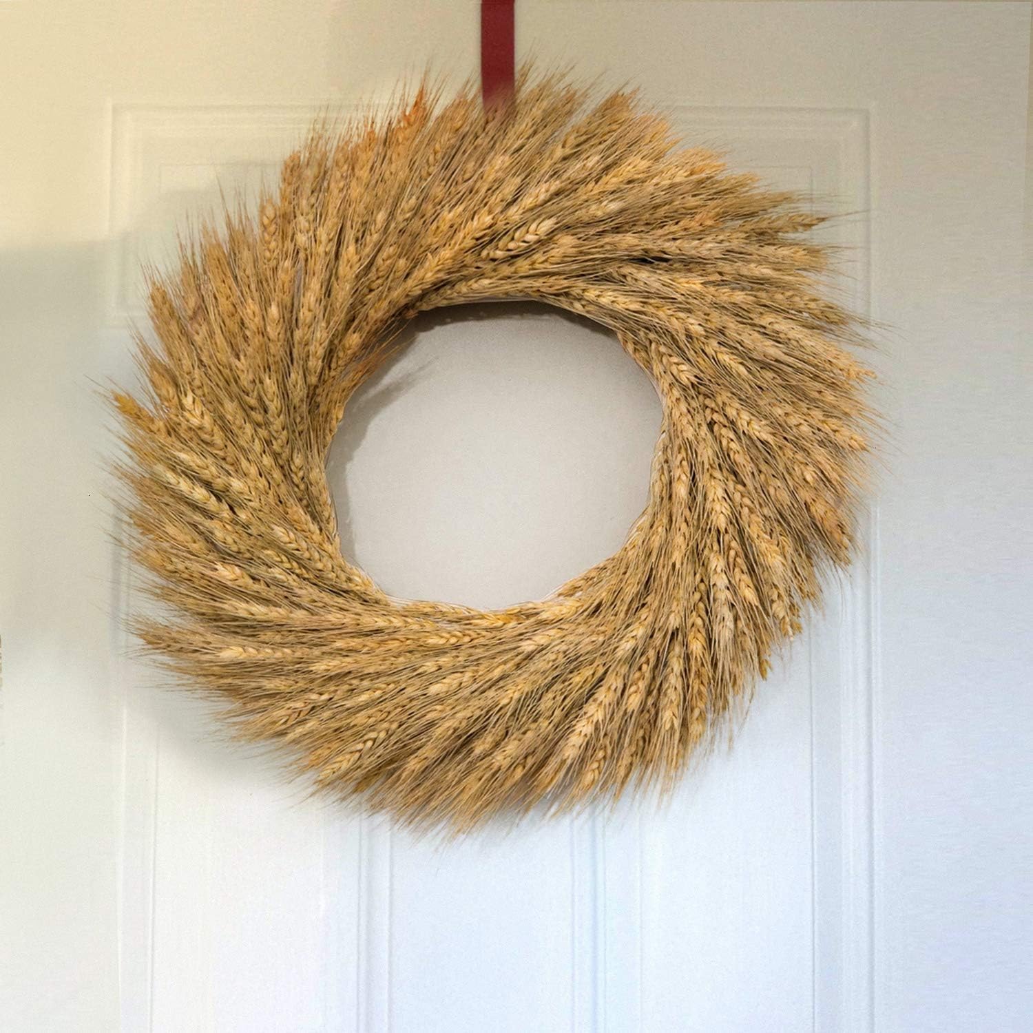 Amаzіng 🔥 YoleShy Dried Wheat Stalks, 100 Stems 100% Natural Wheat Decor for Home Kitchen Christmas Wedding (15.7 Inches)