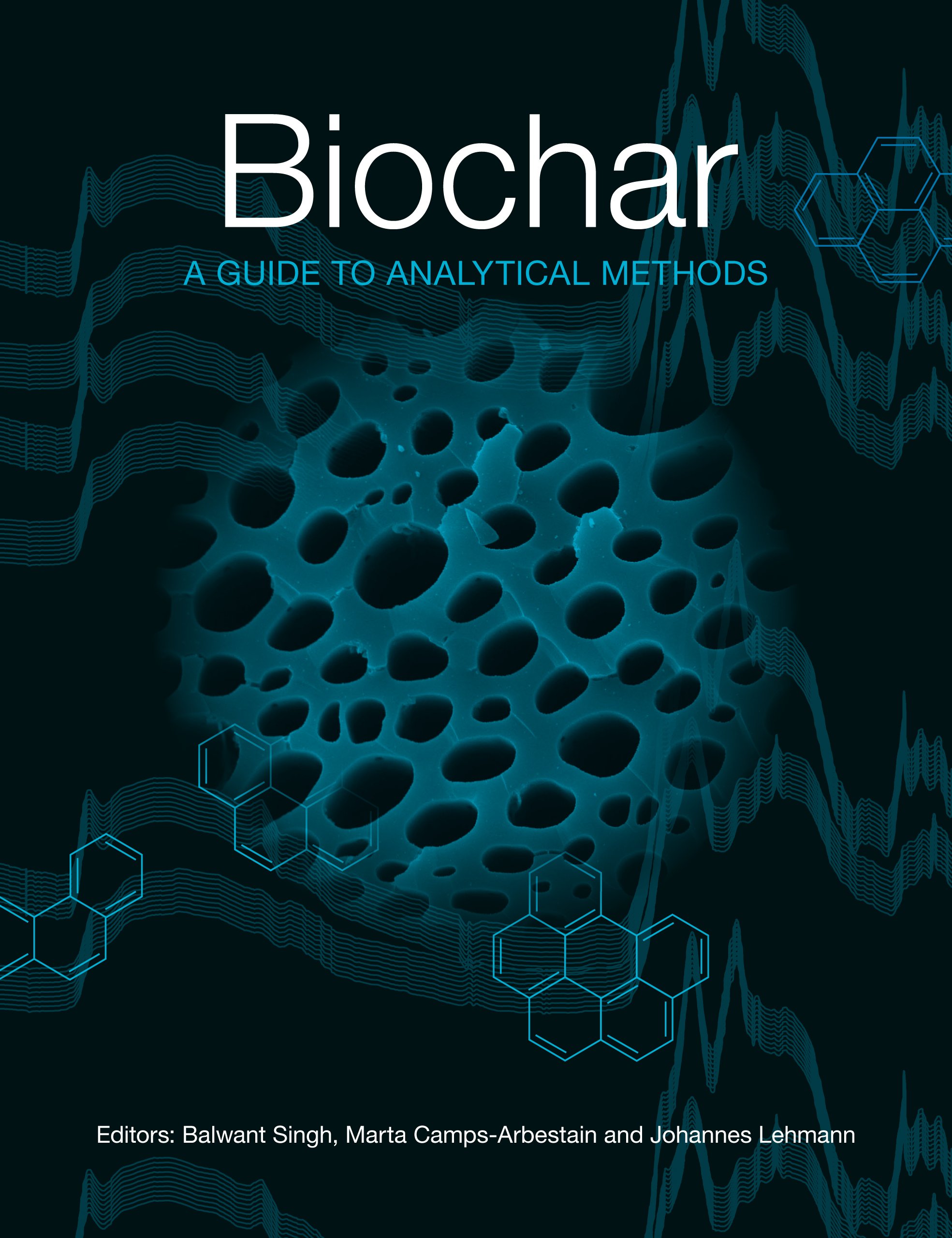 Biochar: A Guide to Analytical Methods (English Edition)