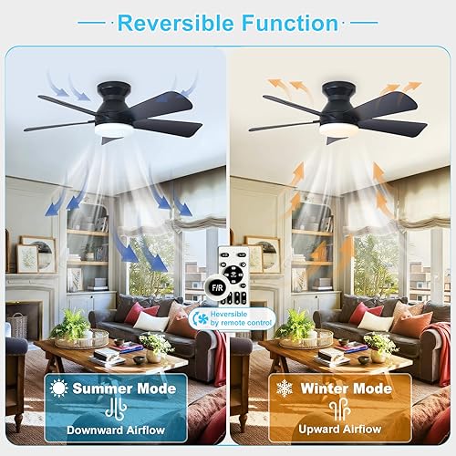 Miniatura 2 de Depuley Ventilador de techo moderno con luz: ventiladores pequeños negros de 35 pulgadas para dormitorio interior y exterior - Ventiladores de techo