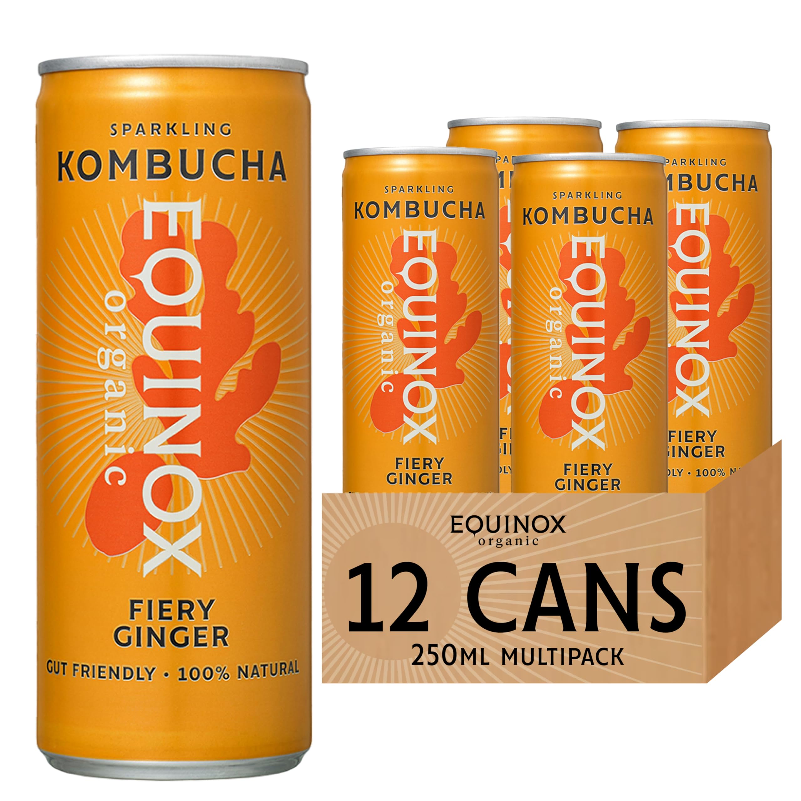 Equinox Kombucha Fiery Ginger (12 x 250ml) | Brewed in UK with SCOBY, Green Tea & Raw Cane Sugar | Sparkling Live Cultured Probiotic Drink for Gut Health | No Sweeteners & 100% Natural