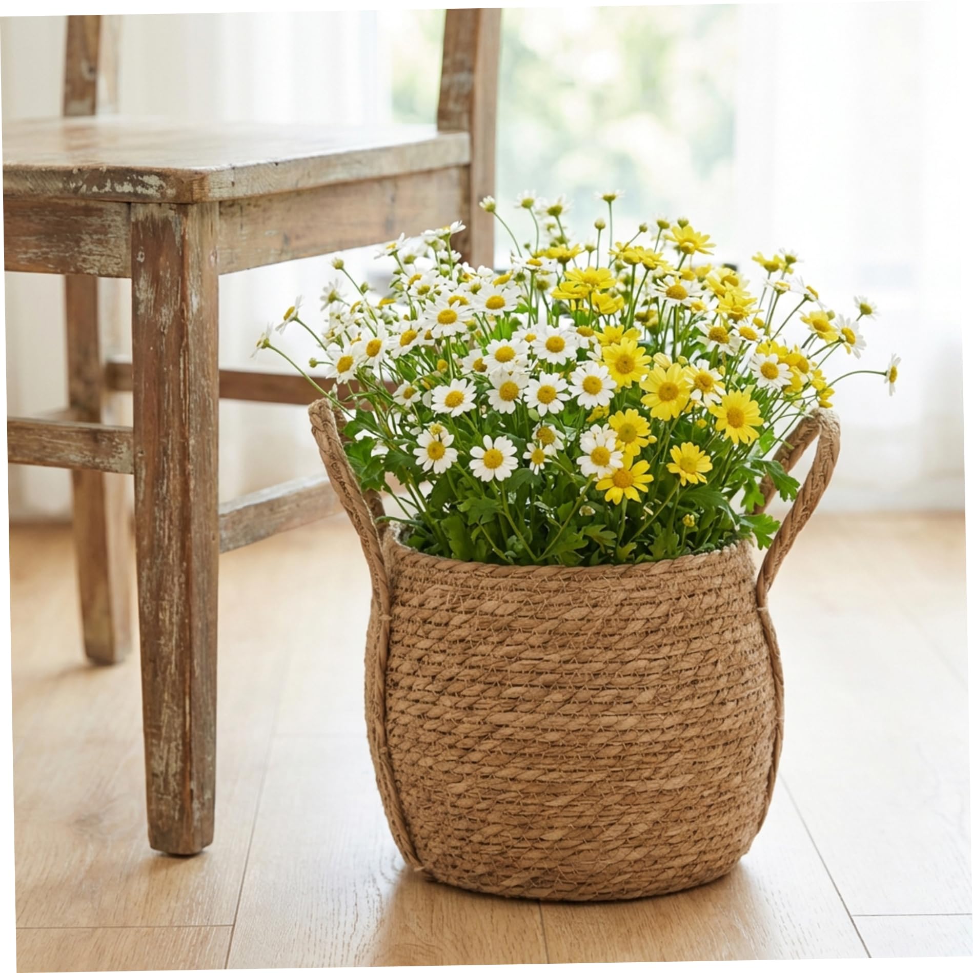 Panier plantes d'intérieur en osier pour sublimer la décoration du salon