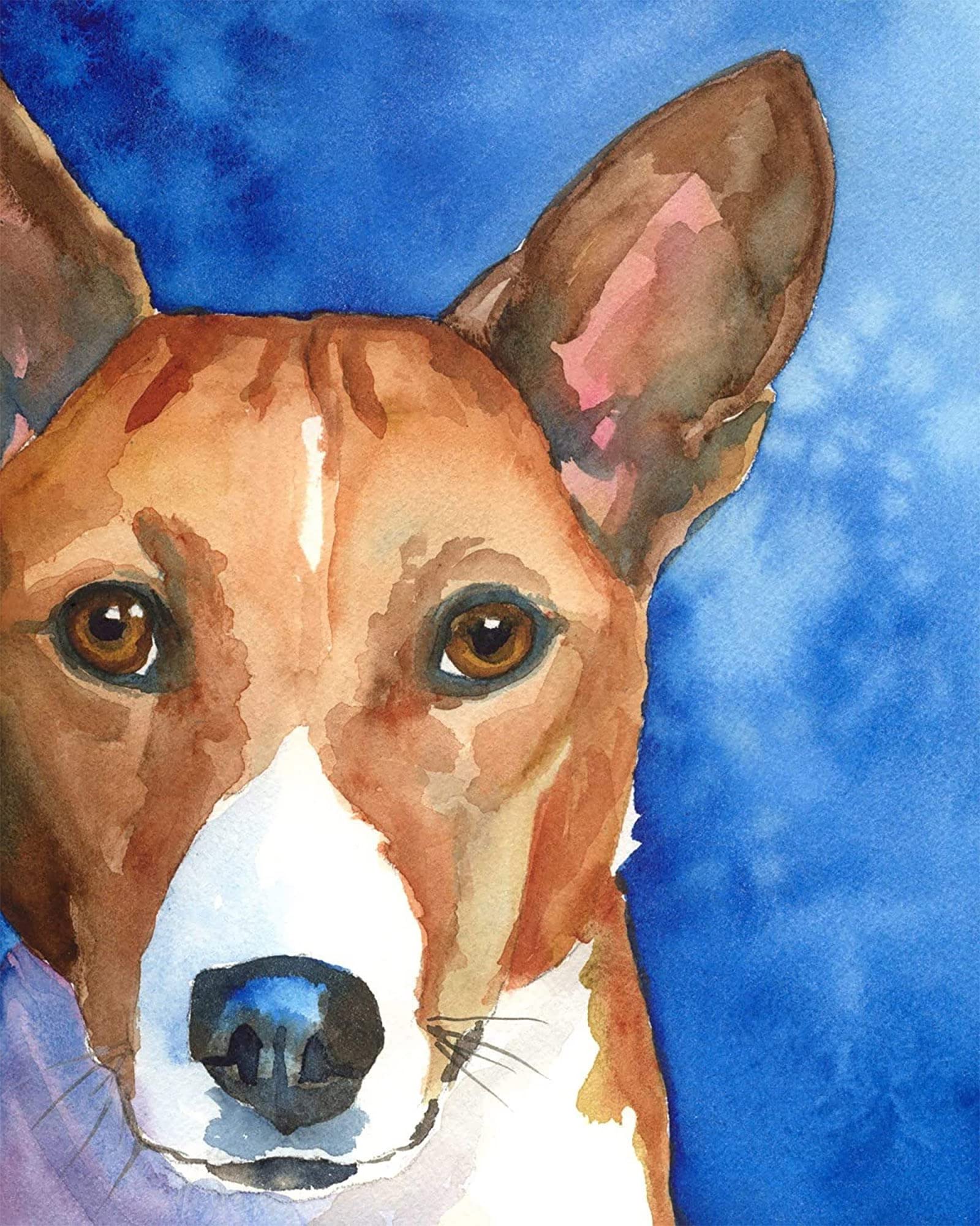 Pittura a olio fai da te per numero Kit per adulti Bambini Set di