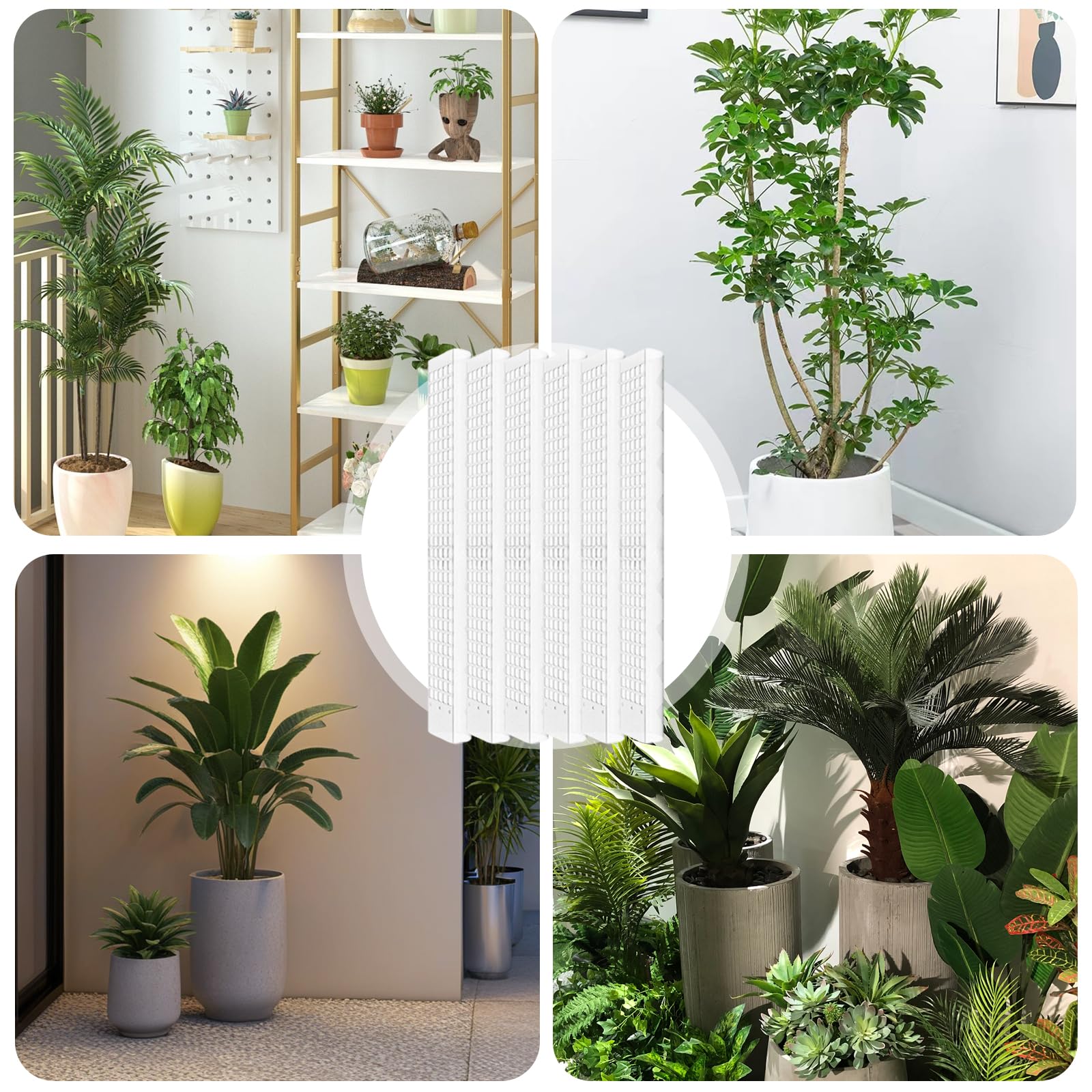 6 set di bastoncini di muschio per piante rampicanti, 61 cm, in plastica, con 3 picchetti, 2 nastri in velcro, 30 m, supporto per rampicanti Monstera, asta per piante rampicanti Monstera