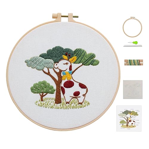 Ebherys Level 1 Embroidery Kits for Beginners and Adults, Different