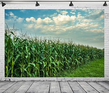 8x6ft Fabric Green Cornfield Backdrop for Photography Rural Corn Fields Decorations Western Farm Landscape Background Harvest Season Backdrop Farmland Themed Party Photo Booth Studio Props