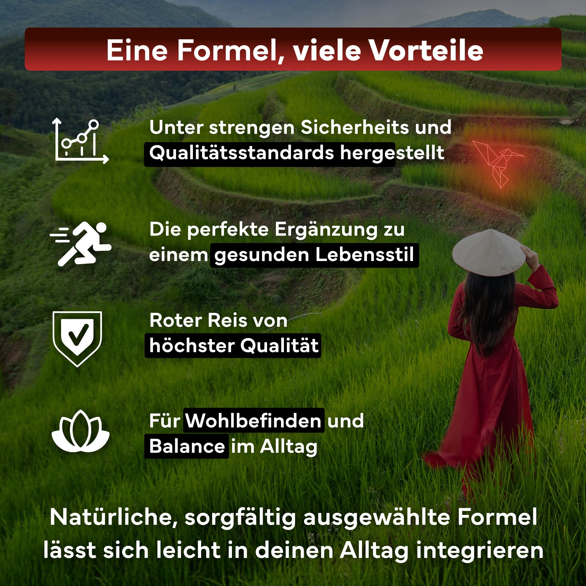 Roter Reis Hochdosiert - 400 Premium-Tabletten - Mit Coenzym Q10 - Monascus purpureus - Fermentierter Roter Reis - 100% Natürlich, Gluten- und Laktosefrei