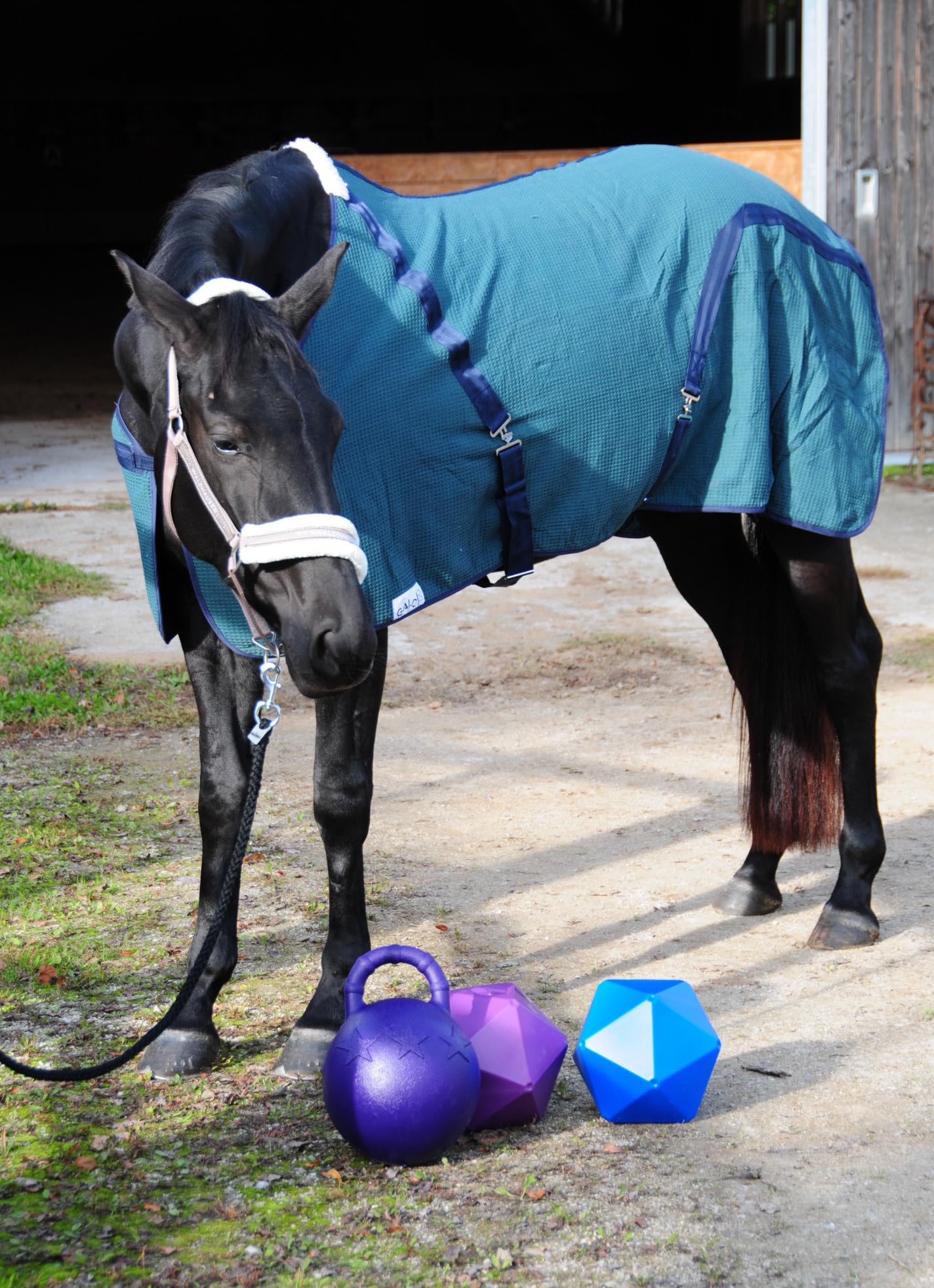 Bola de cebo, juguete para caballos para caja o paddock contra el aburrimiento