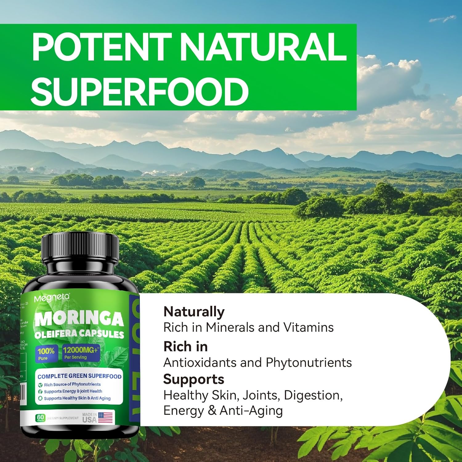 Moringa Capsules 100% Pure Leaf Powder - 12,000mg Moringa Oleifera Leaf (2 Pack 60 Count)