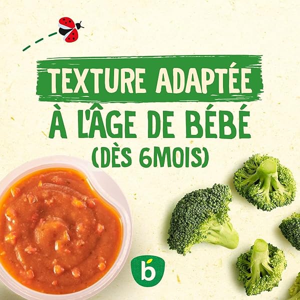 Blédina - Bols - Repas midi bébé - Ratatouille Poulet et filet d'huile d'olives - Dès 8 Mois - Sans sel ajouté – 12x200g - 5