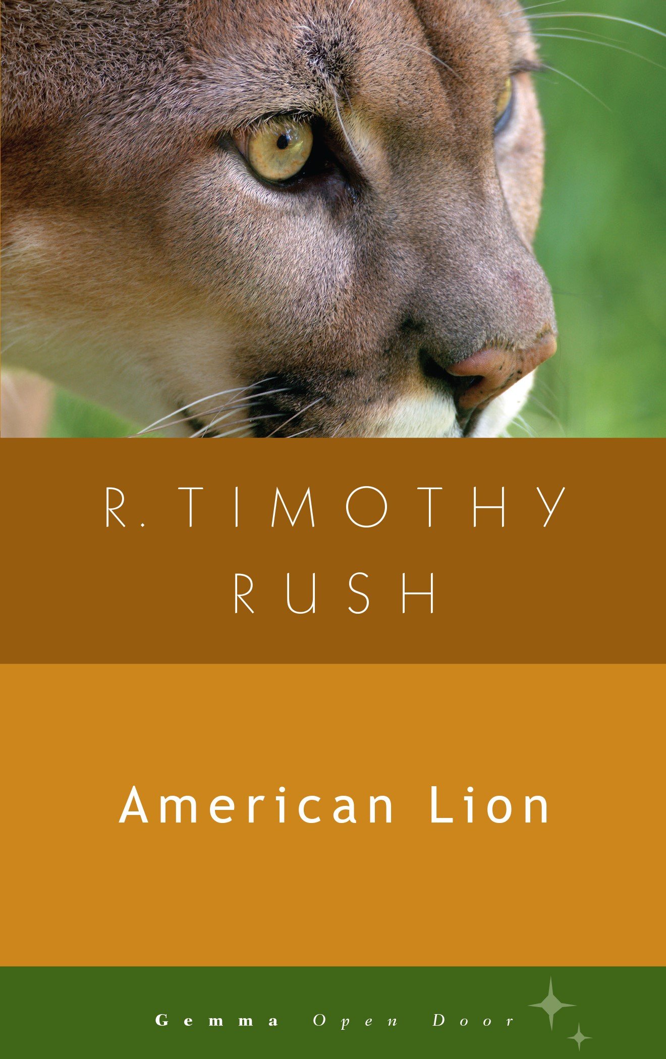 American Lion (Gemma Open Door)