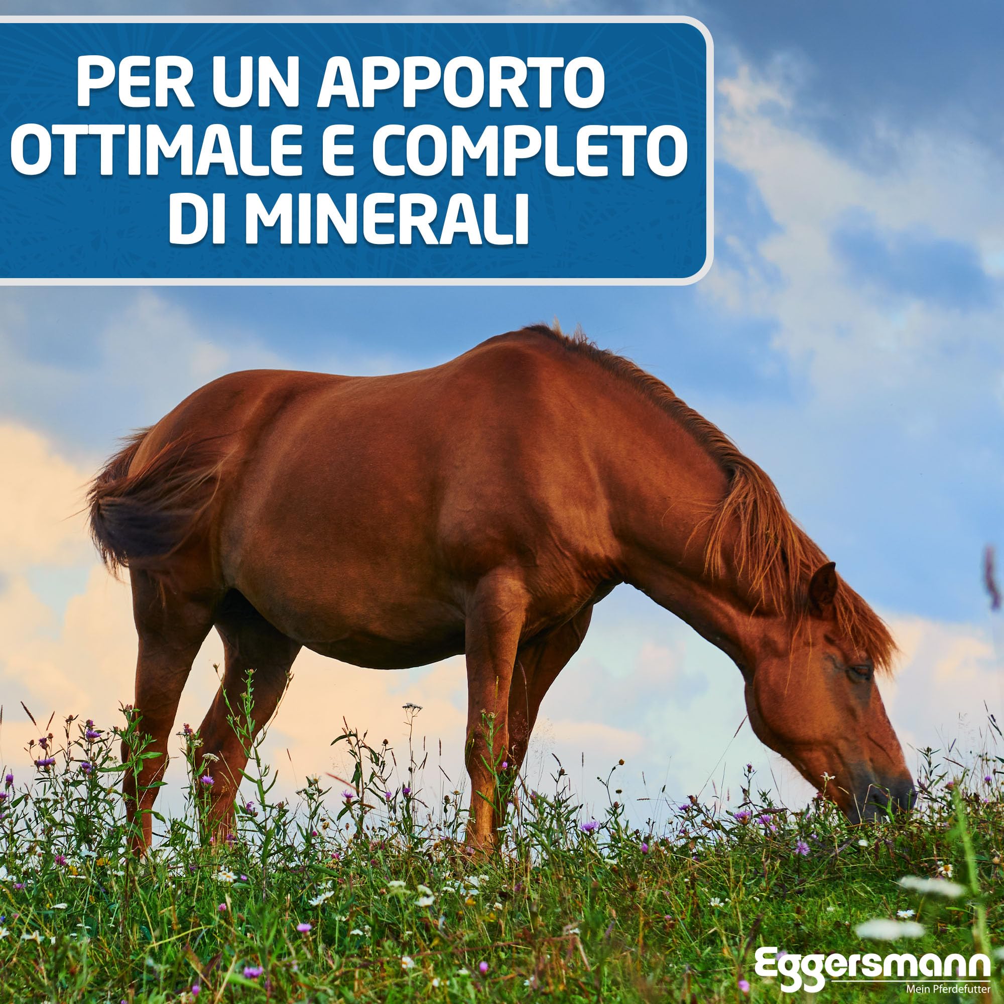 Eggersmann Mein Pferdefutter Golden Mineral 25 kg – Mangime Minerale per Cavalli e Pony – Mangime per Cavalli Ricco di Sostanze nutritive per Una Fornitura ottimale – per completare Il mangime Base