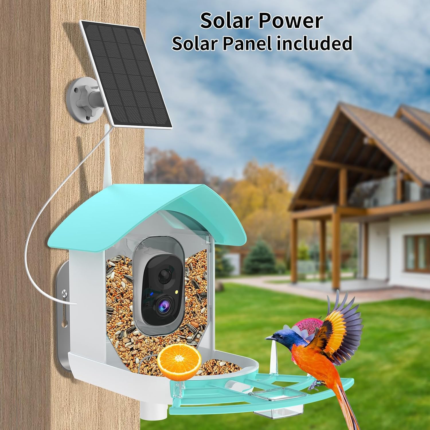 Bird feeder with an attached solar panel on a pole mount