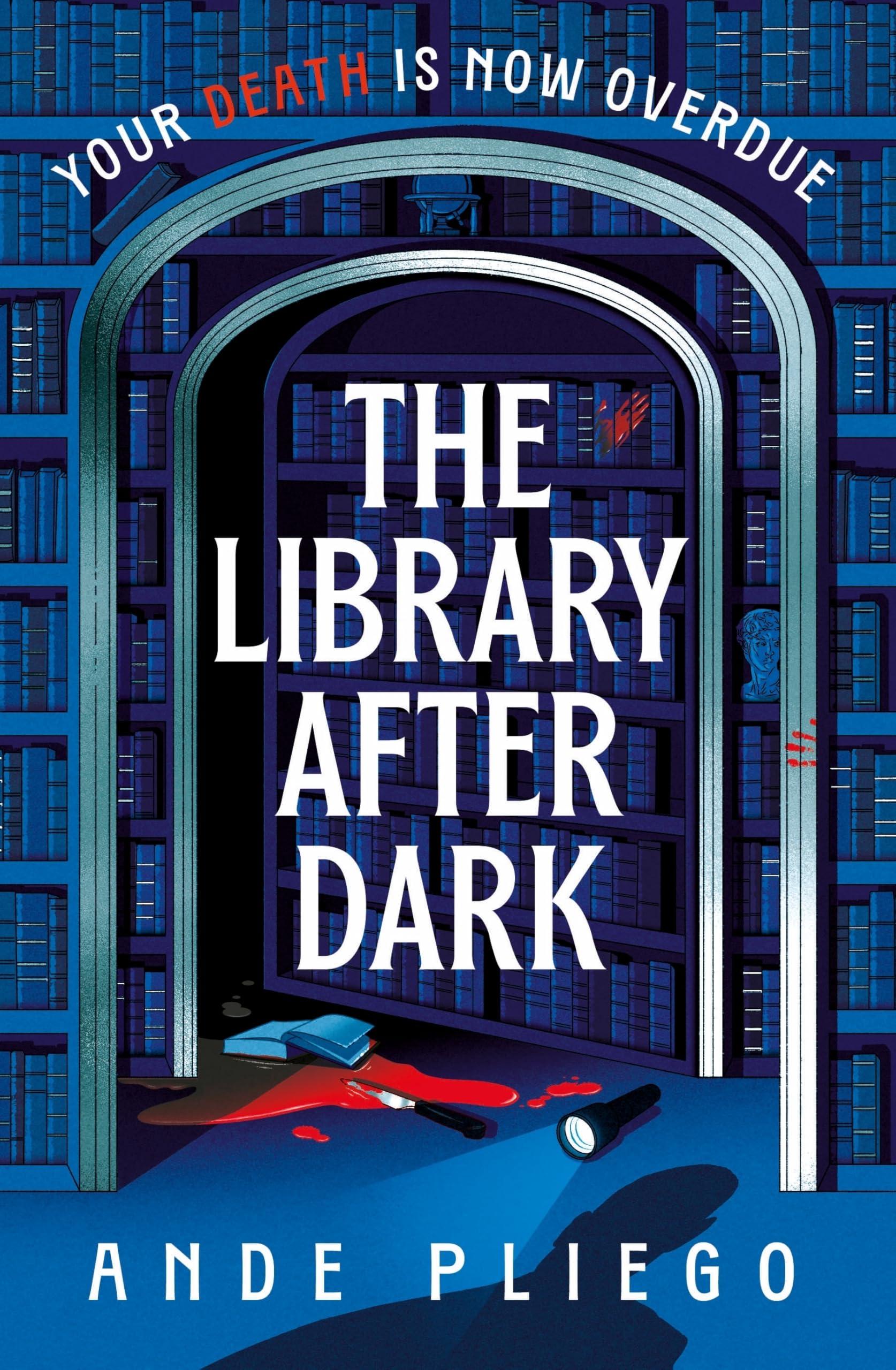 Ande Pliego The Library After Dark Hardcover Book