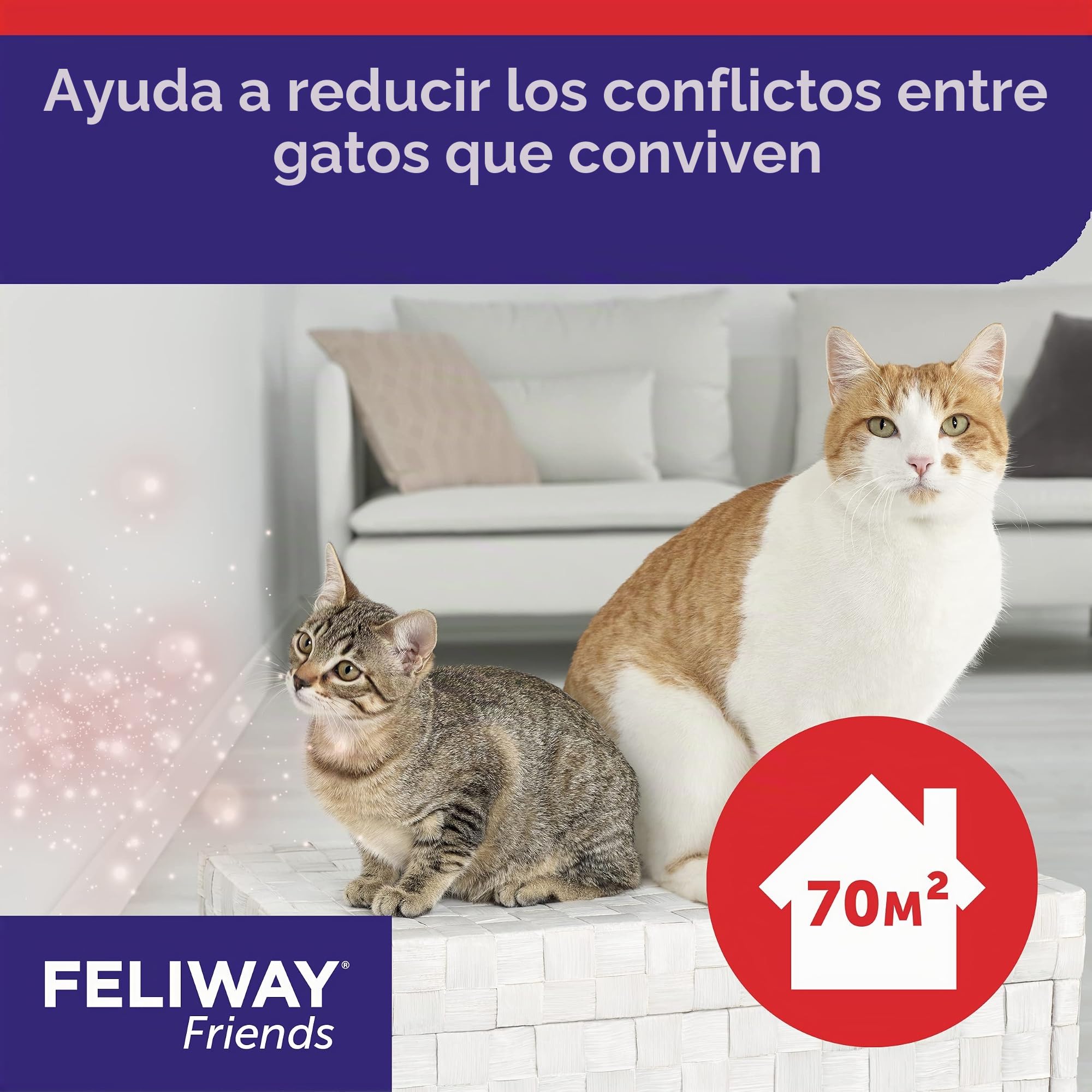 Feliway D89440L Friends - Pack Ahorro de 3 x 30 días, 144 ml