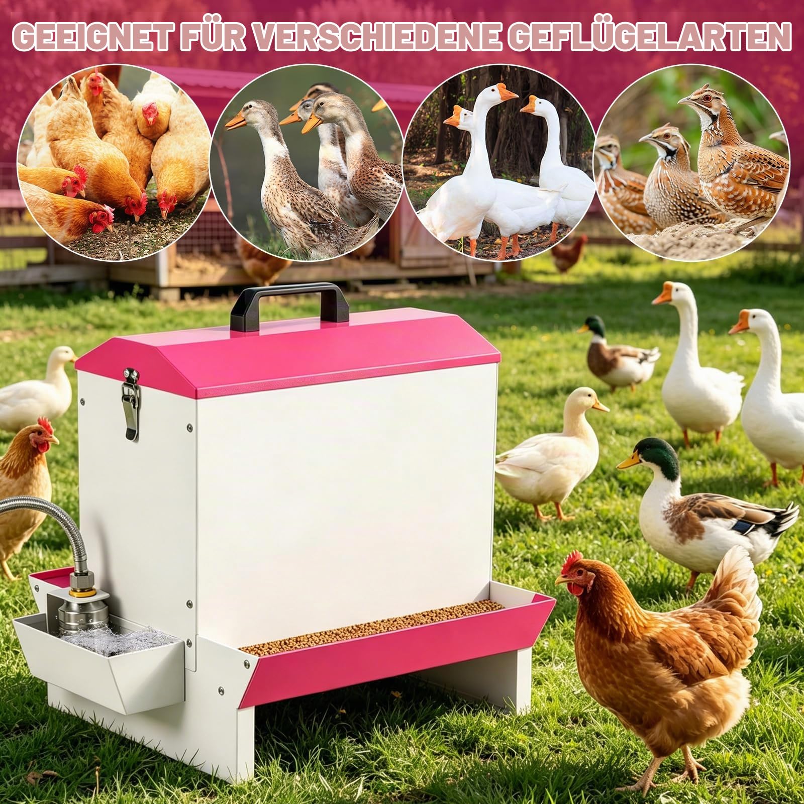 2in1 Geflügel Futter- & Wasserautomat, Metall Schwerkraft-Futterspender mit Tränke, Doppelseitiger Futtertrough für Hühner, Enten, Gänse, Tragbar mit Griff & Schloss