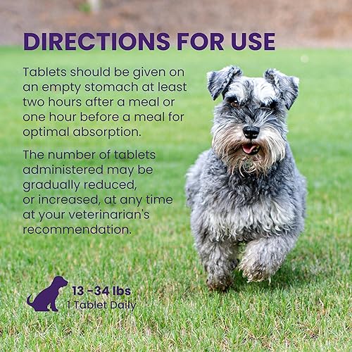 Miniatura 7 de Nutramax Laboratories Denamarin Suplemento de salud hepática para perros medianos - Con S-adenosilmetionina (SAMe) y silibina, 30 tabletas