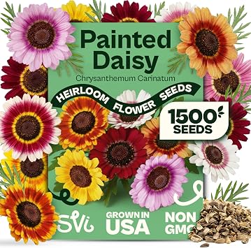 1500 SVI Painted Daisy Seeds Chrysanthemum Carinatum Daisy Seed Packets Bulk, Chrysanthemum Flowers Seed Mix Wildflowers Annual Cut Flower Seeds for Outdoor Garden, Flower Garden, Containers