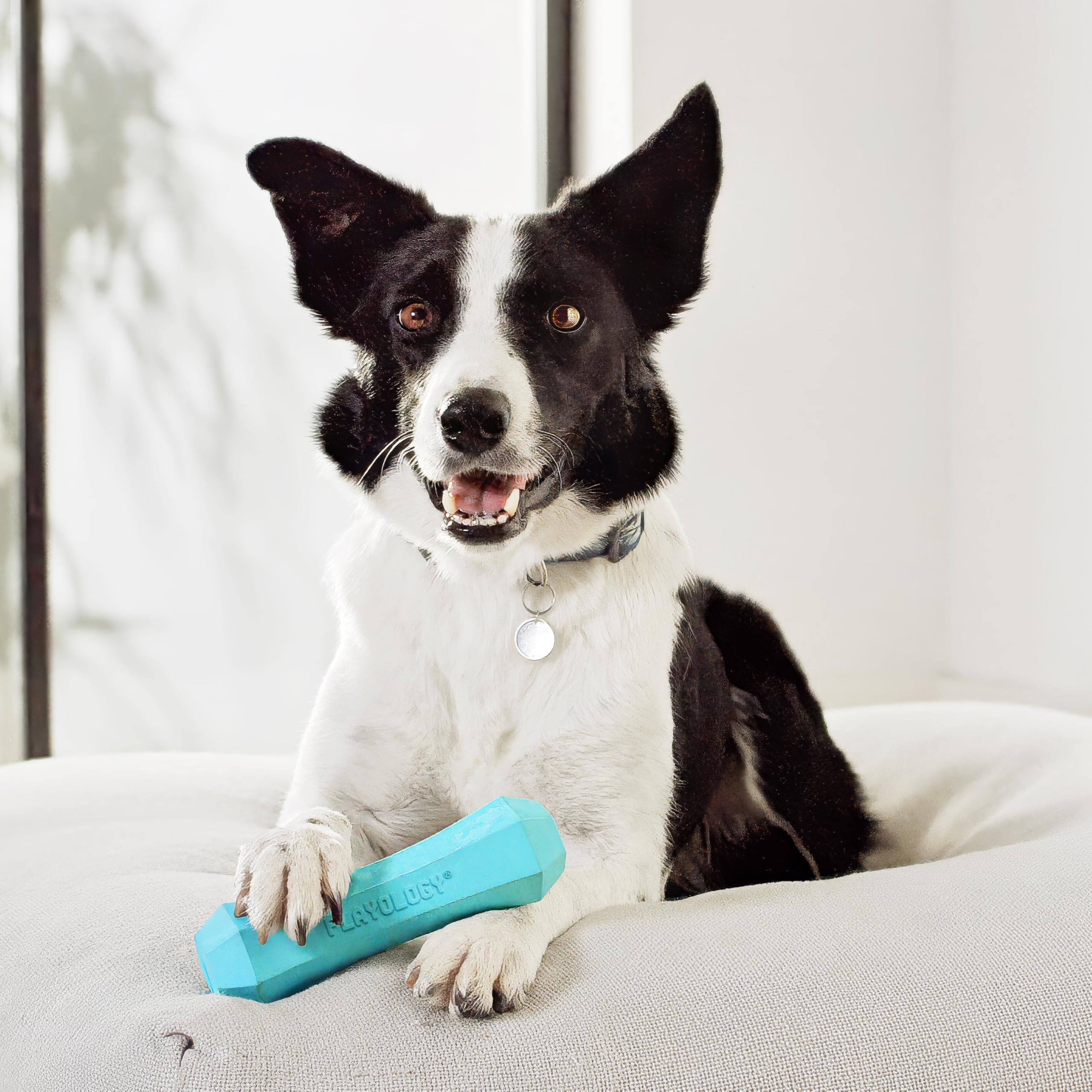 Playology Giocattoli per cani Bastoncino da masticare resistente e che squittisce per cani | Giocattolo gigante profumato al burro di arachidi - Facile da pulire e realizzato con materiali atossici