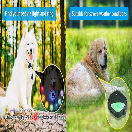 Miniatura 6 de PETFON Rastreador GPS para mascotas sin tarifa mensual dispositivo de collar de seguimiento en tiempo real control de aplicación para perros y
