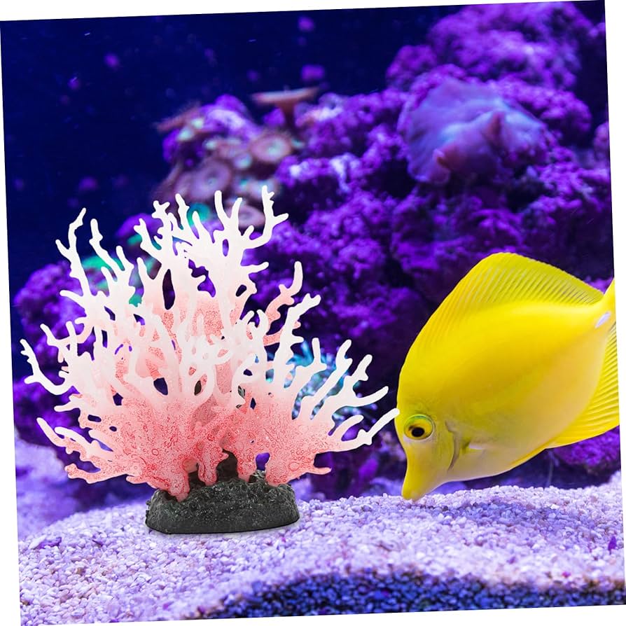 マンタ親子とサンゴ礁のアクアリウム♪♪ Amazon | S.T.S.G アクアリウム 水槽 ミニチュア 14種類セット