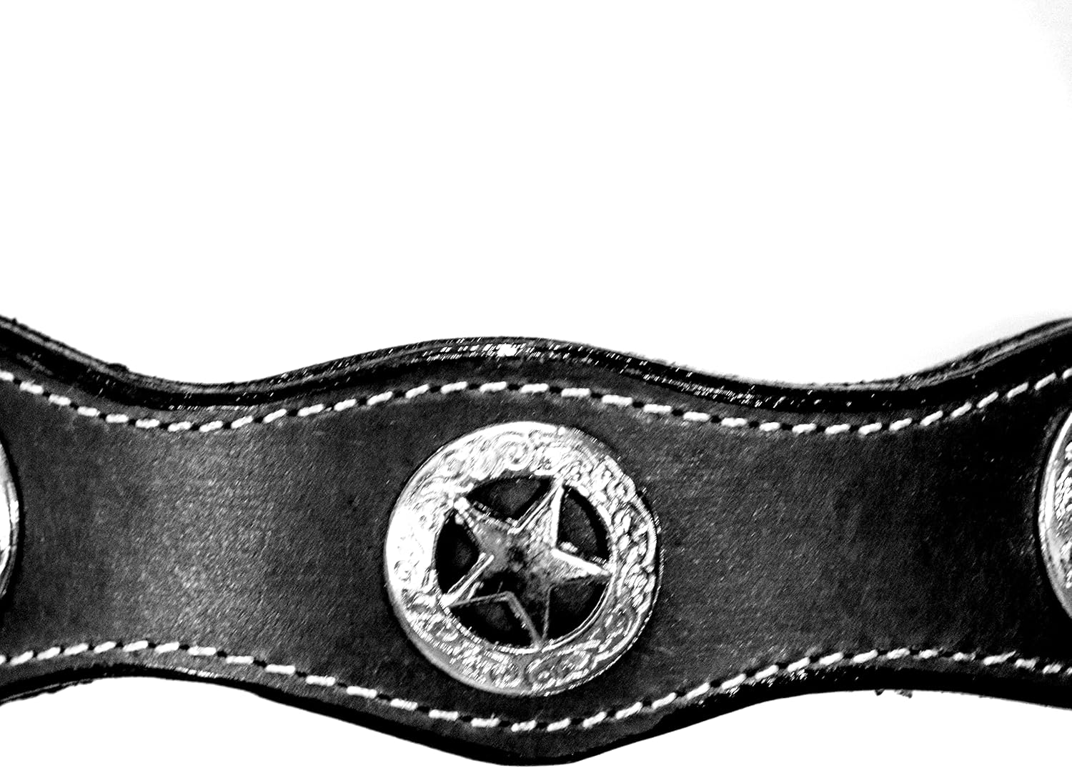 Deen, Enterprises Western Premium Leather Hand Carved Tooled Equestrian Trail Tack Set Headstall, Breast Collar & Reins Size Full : Sports & Outdoors