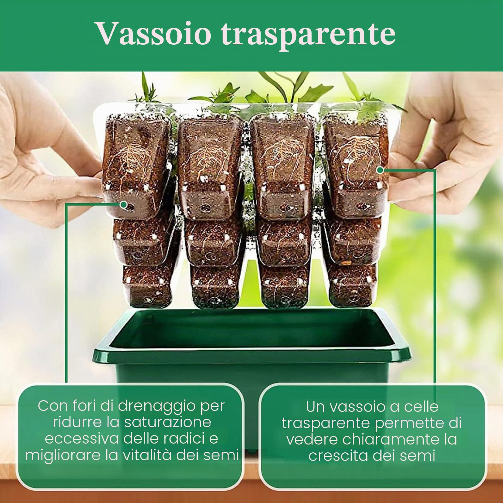 XVZ Vassoio Germinazione con Luce di Coltivazione, 6 Pezzi Vassoi per Semi Luminosità Regolabile e Regolatore di Temporizzazione per una crescita e un'umidità ottimali