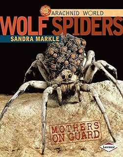 Wolf Spiders: Mothers on Guard (Arachnid World)