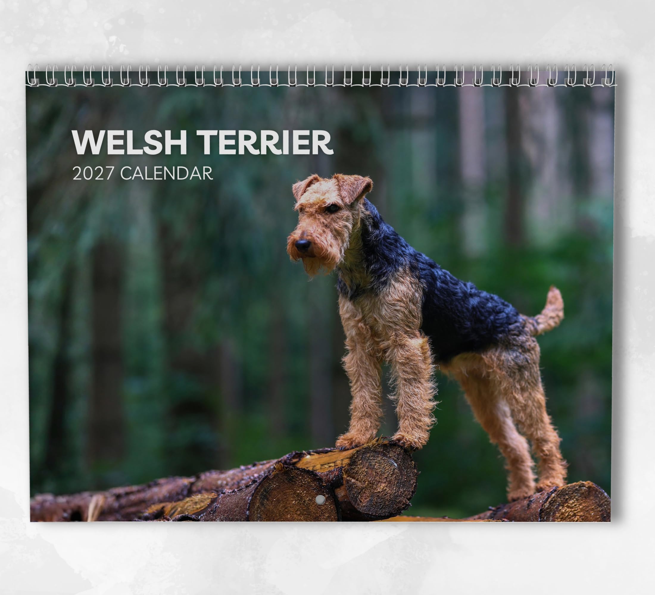 Welsh Terrier Calendar 2027: Monthly Wall Calendar with Notes, Hanging A3 Size, Includes key dates & holidays