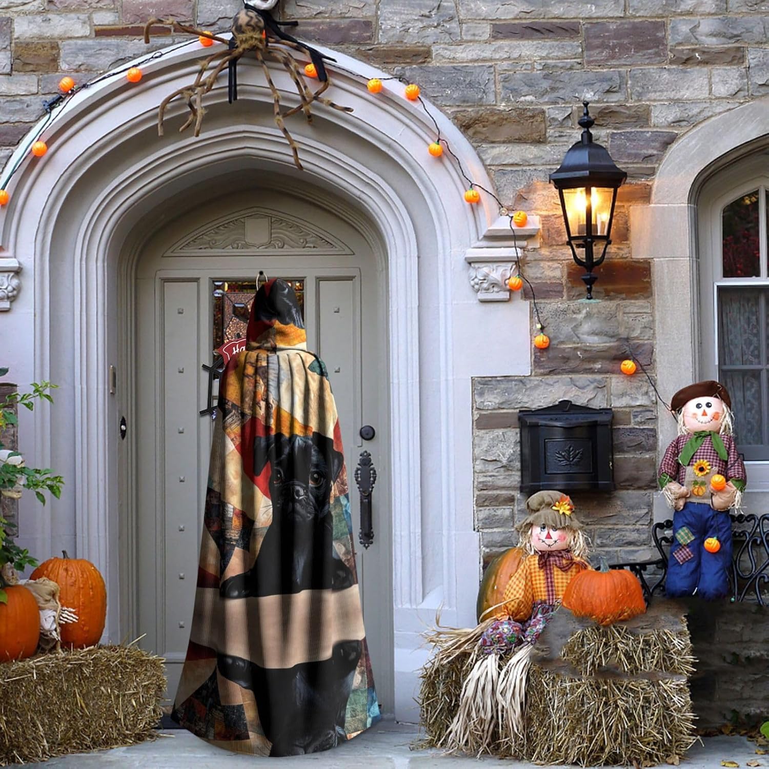 A painting of a cute dog Unique Darkness Poncho Shawl - Customizable Wearable Blanket for Women, Perfect Halloween Costume Accessory, Knight, Akatsuki, and More