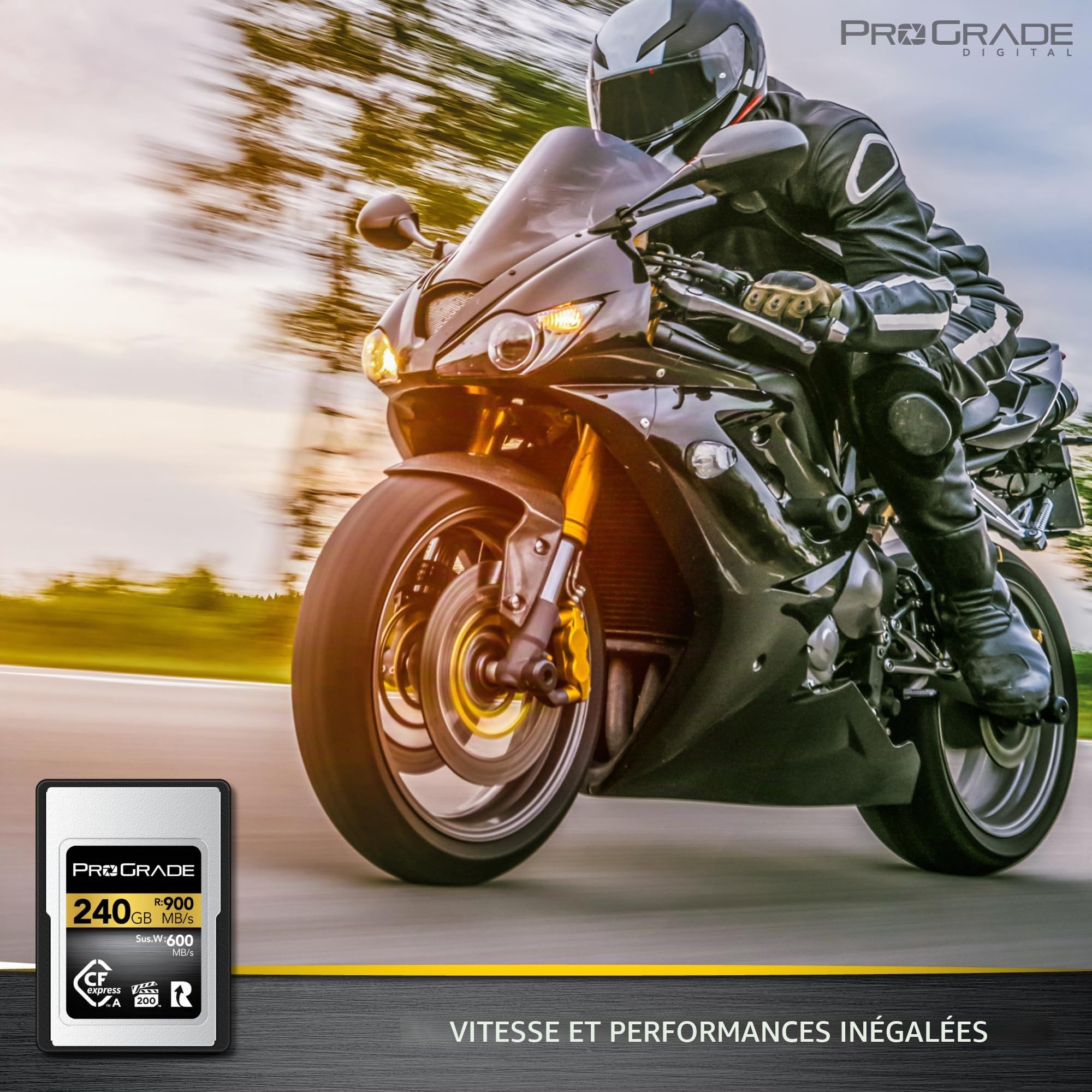 ProGrade Digital CFexpress™ 2.0 Carte mémoire Type A (240 Go) Doré