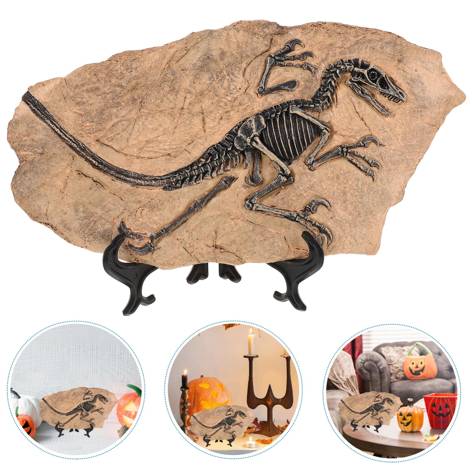 Kisangel Fossile di Dinosauro in Resina per Ragazzo Ragazza, Decorazione Realistica per Compleanno e Festa, Set per Sviluppare Creatività e Simulazione