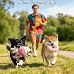 BANIC Jouets de chien pour la Dentition de chiot, 20Pcs Jouets à croquer pour chien avec panier, peluche et squeaky Jouets, Disque volant, Jouets de corde, Cloche d'entraînement, Brosse à dents, Boules de traite pour chiots Petits chiens moyens