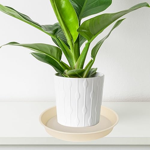 Miniatura 5 de Bleuhome Paquete de 6 platillos de plástico para plantas, bandeja de goteo de agua, 4 5 6 7 8 9 10 11 12 pulgadas, bandeja resistente para plantas