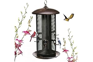 Nature's Rhythm 10-Port Deluxe Large Outdoor Hopper Bird Feeder with 2 Chambers