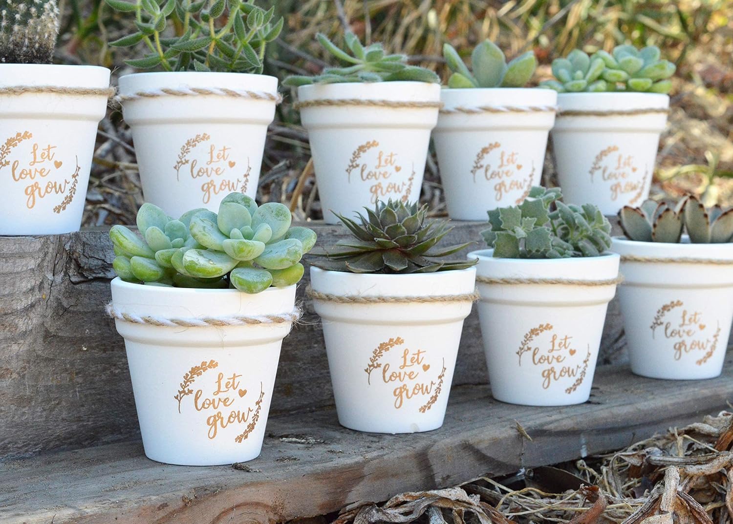 Let Love Grow 2.5 Inch Succulent Pots 20 Pcs White Small Clay Terracotta Pots Mini Flower Pots for Succulent Favors, Baby Showers, Bridal Shower Gifts, Wedding Favors (Gold Print)