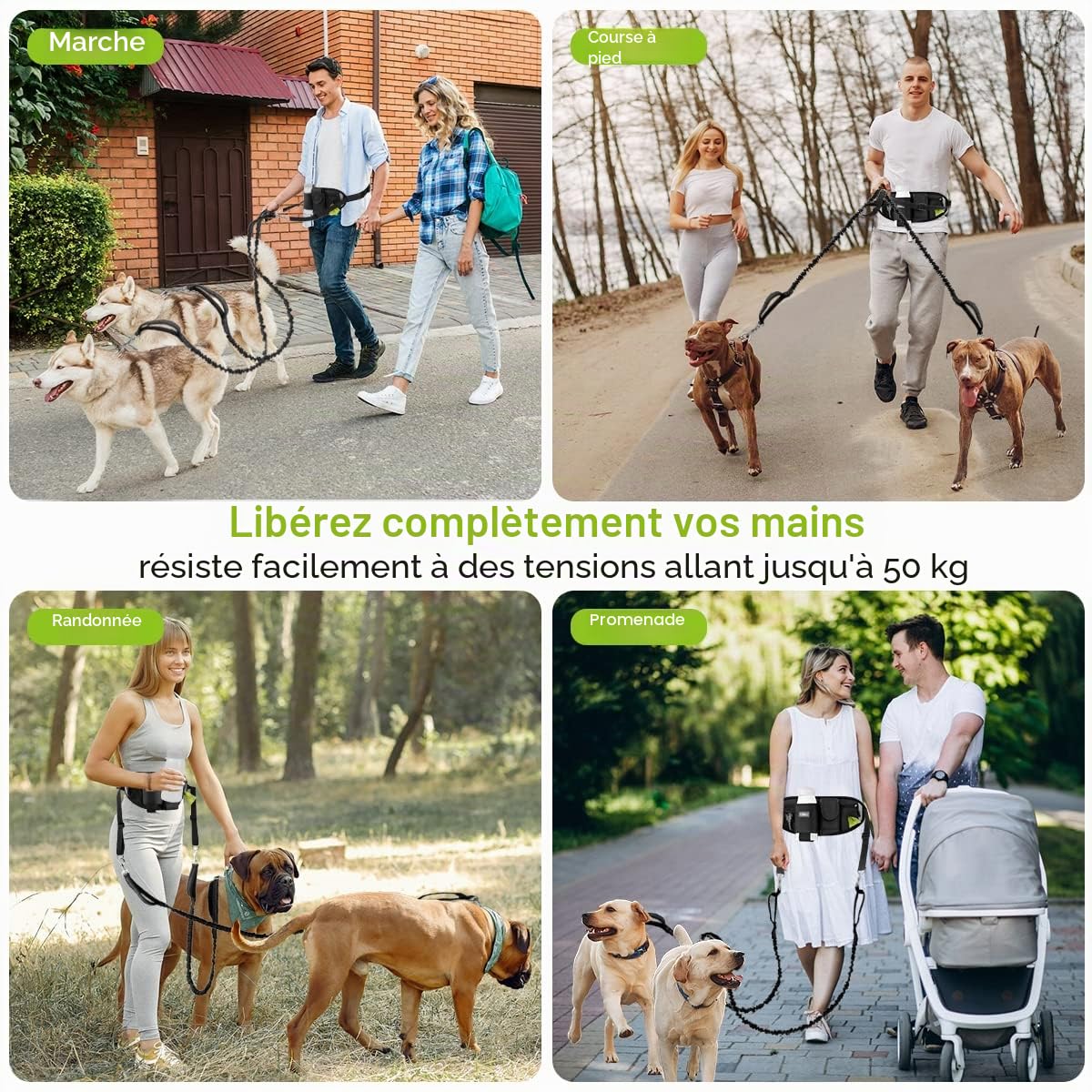 ETACCU Laisse Libres pour 2 Chiens, Poignée de Circulation Robuste, Laisse Canicross Chien, Ceinture Réglable avec pochette, Couture Réfléchissante, Idéal pour Course à Pied et Marche