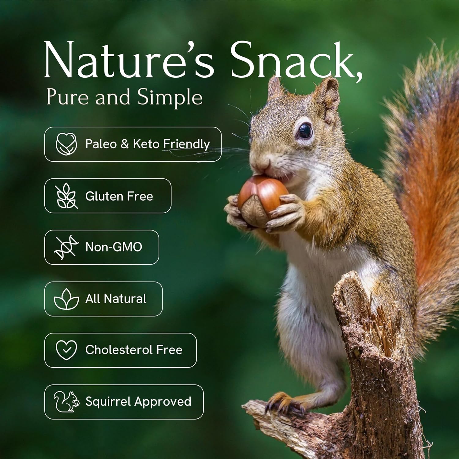 Snackathon Oregon Hazelnuts In Shell, 6.6 LB Bulk Bag - Whole Raw Large Filberts Grown in USA, Fresh Unsalted Natural Nuts for Snacking & Baking