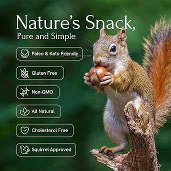Snackathon Oregon Hazelnuts In Shell, 6.6 LB Bulk Bag - Whole Raw Large Filberts Grown in USA, Fresh Unsalted Natural Nuts for Snacking & Baking