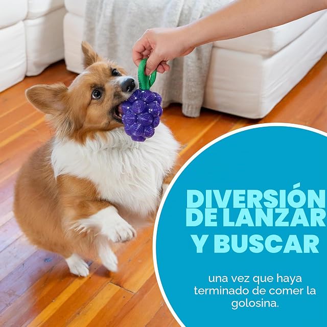 Foto 5 de 8 de Outward Hound by Planet Dog - Juguete Dental para Masticar y Relleno Interactivo de Uvas dentales, Juguete…