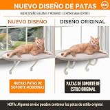 Ver la foto 3