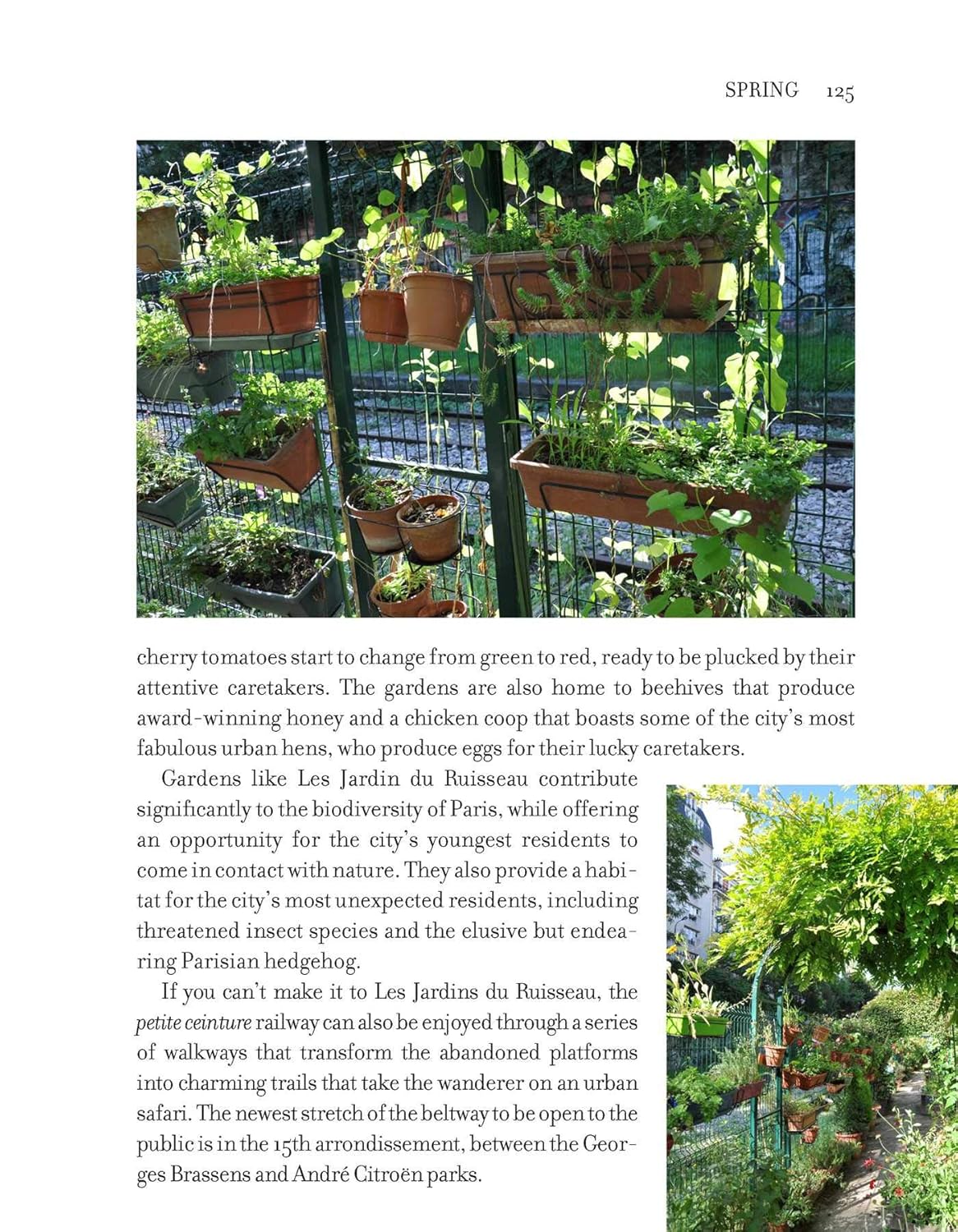 My Paris Market Cookbook: A Seasonal Culinary Guidebook to Paris with More than 70 French Recipes      Paperback – June 25, 2019