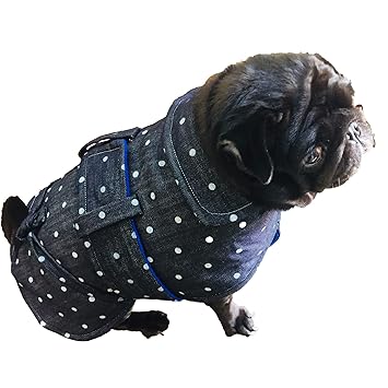 doberman winter coat amazon