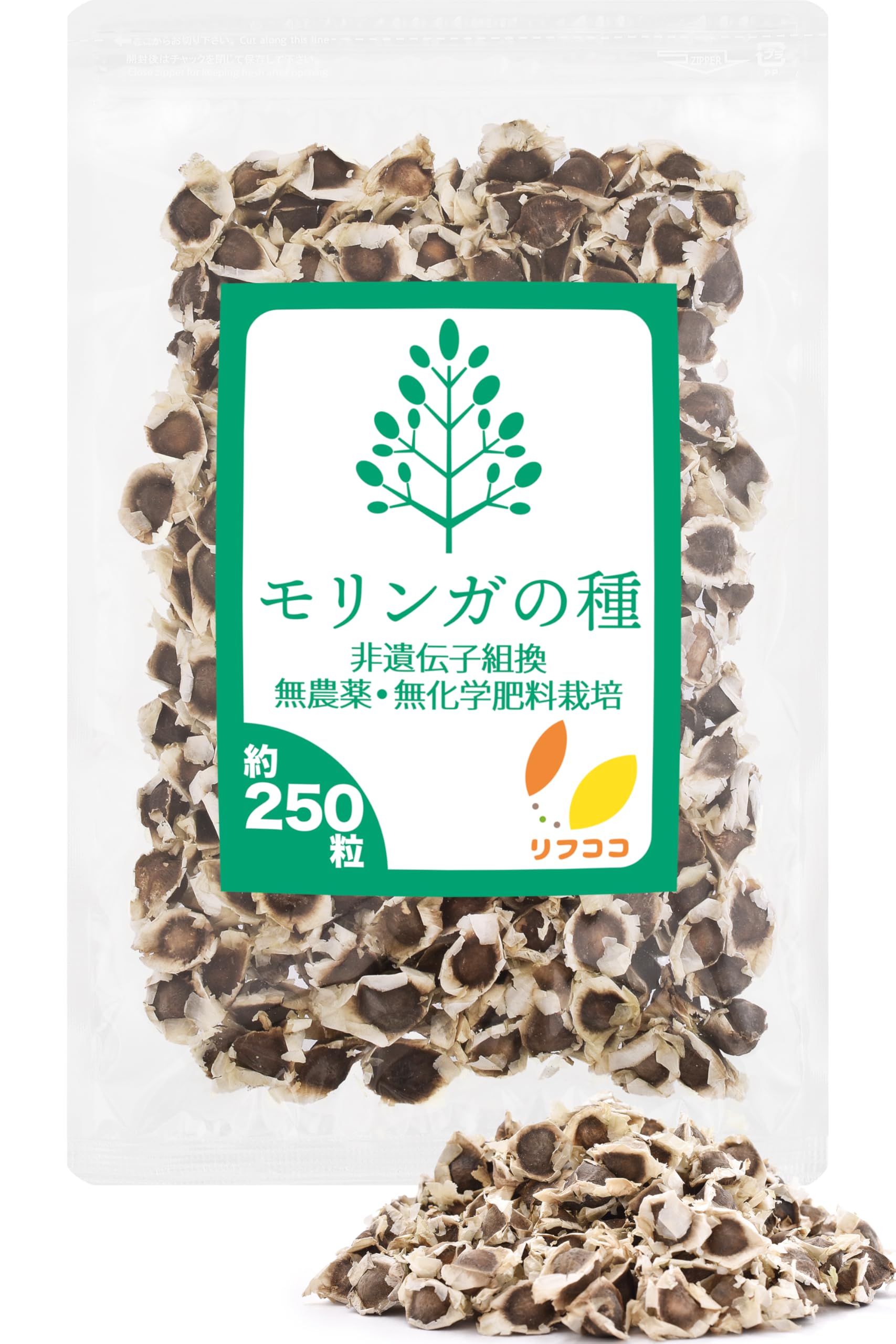 Amazon.co.jp: リフココ モリンガ 種 80g（約250粒前後入り）インド産