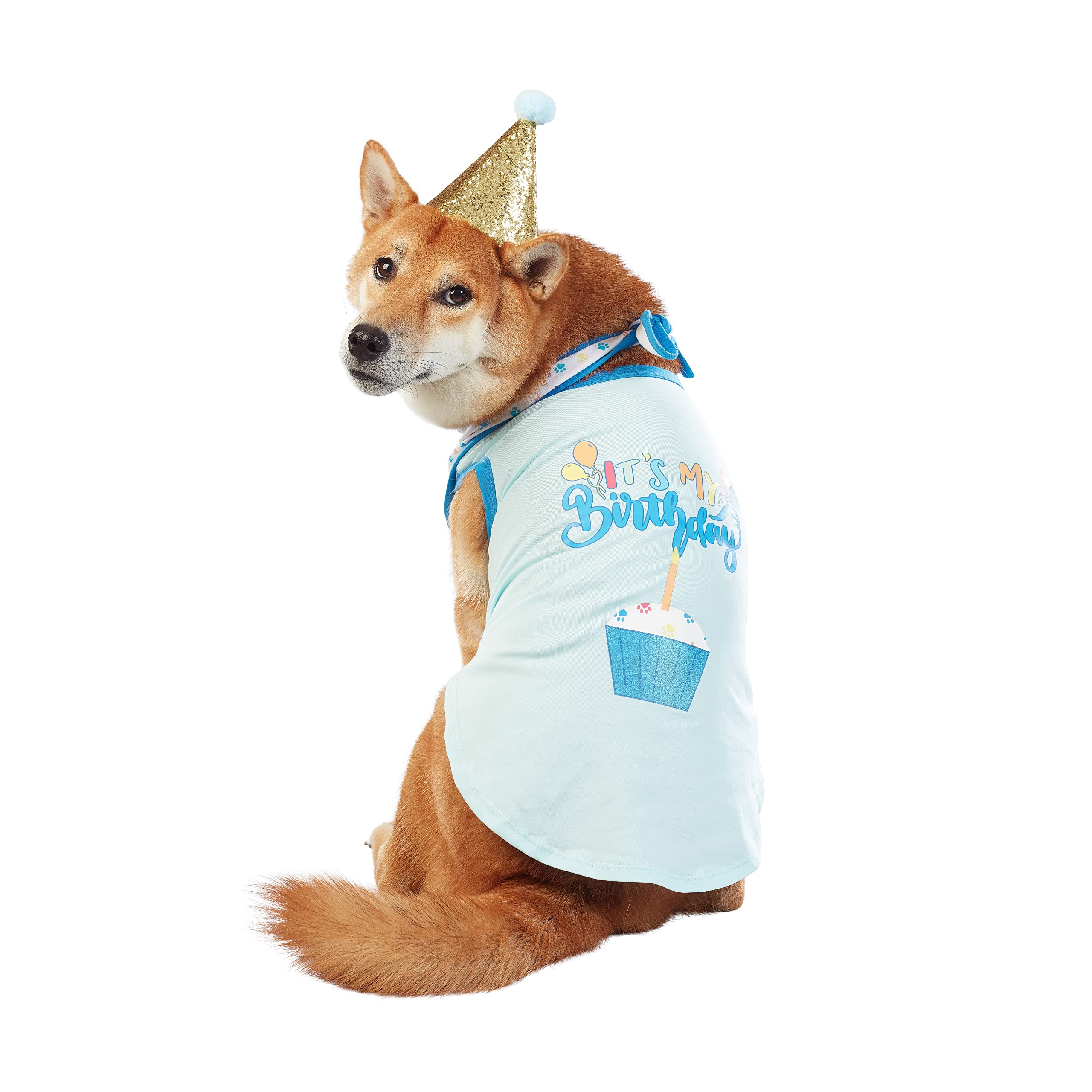 Ensemble anniversaire chien L parfait pour fêter les un an de votre animal