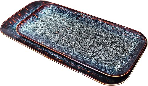 Juego de 2 platos llanos de porcelana, plato principal para carne, pan, risotto, pasta, ensalada, apto para microondas, horno y lavavajillas,