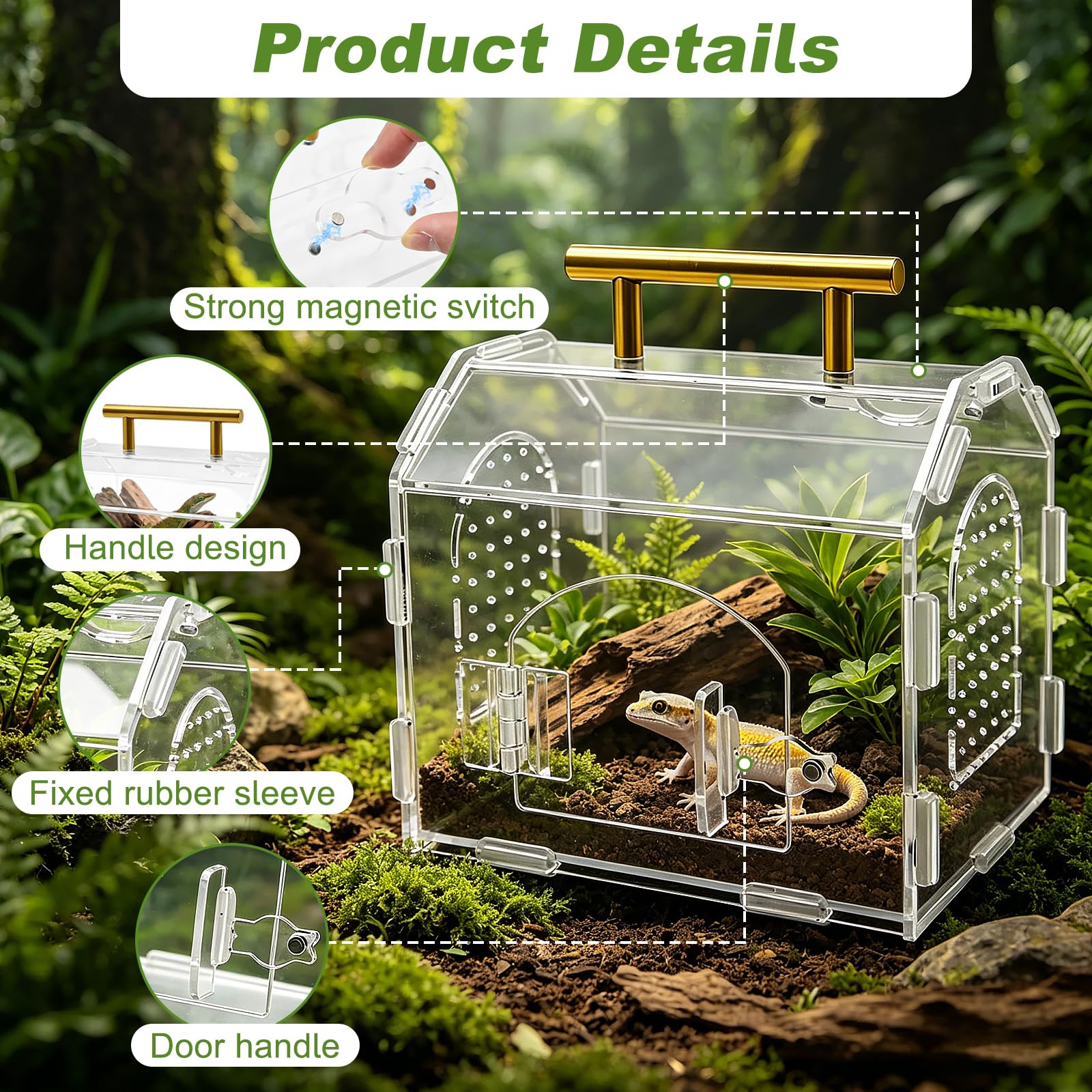 Terrario Acrílico Portátil con Cierre Magnético y Asa - Terrario Reptiles Transparente con Ventilación Superior y Funda de Goma Desmontable, Ideal para Araña Saltarina