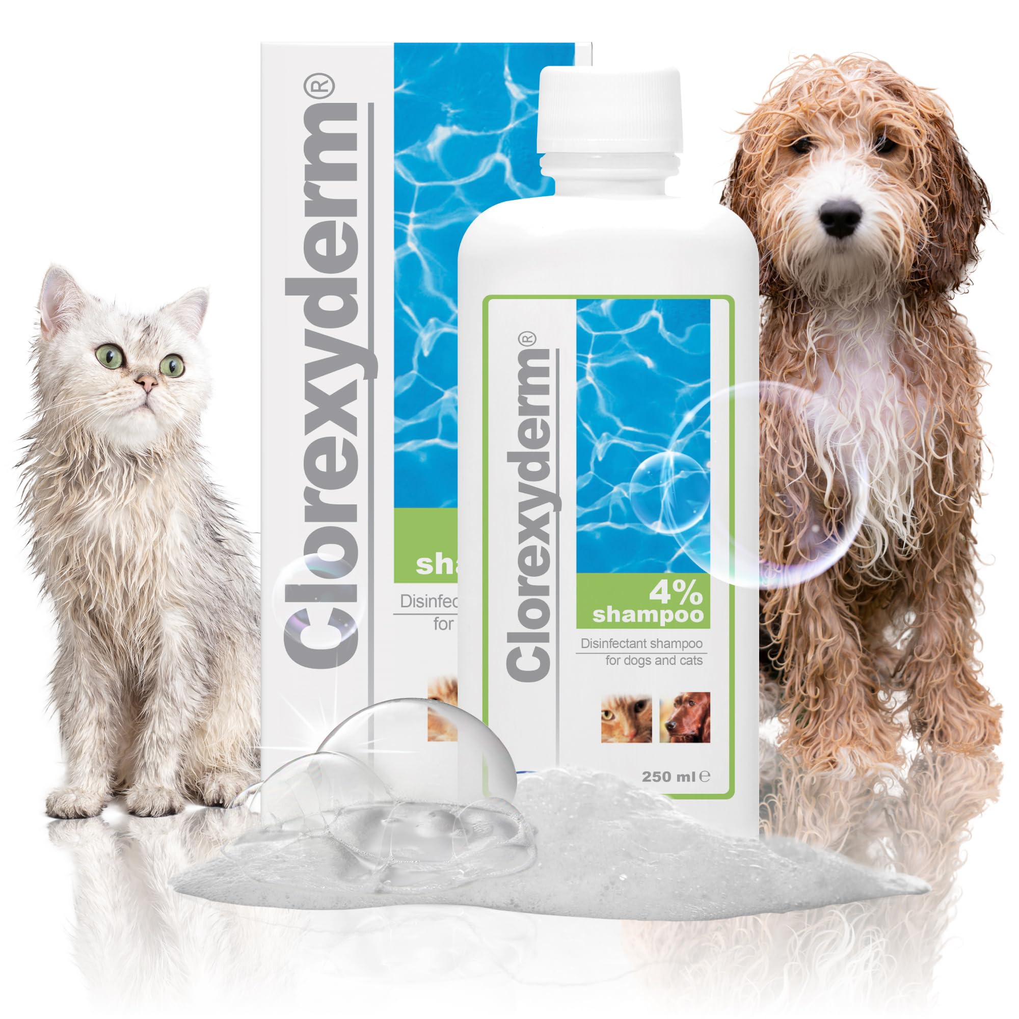 ICF | Clorexyderm 4% Shampoing Chien | Shampooing Chien Antiseptique, Hydratant et Anti Odeur pour Chien et Chat | Assainit, Hydrate et Protège la Peau | 250ml