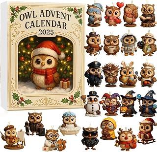 Owl Advent Calendar 2025, 24 Gifts Inside Advent Calendar 2025 for Adults, 24 Days of Surprise Countdown Calendars Gift Box, 2D Acrylic Ornament Christmas Charming for Bird Enthusiast