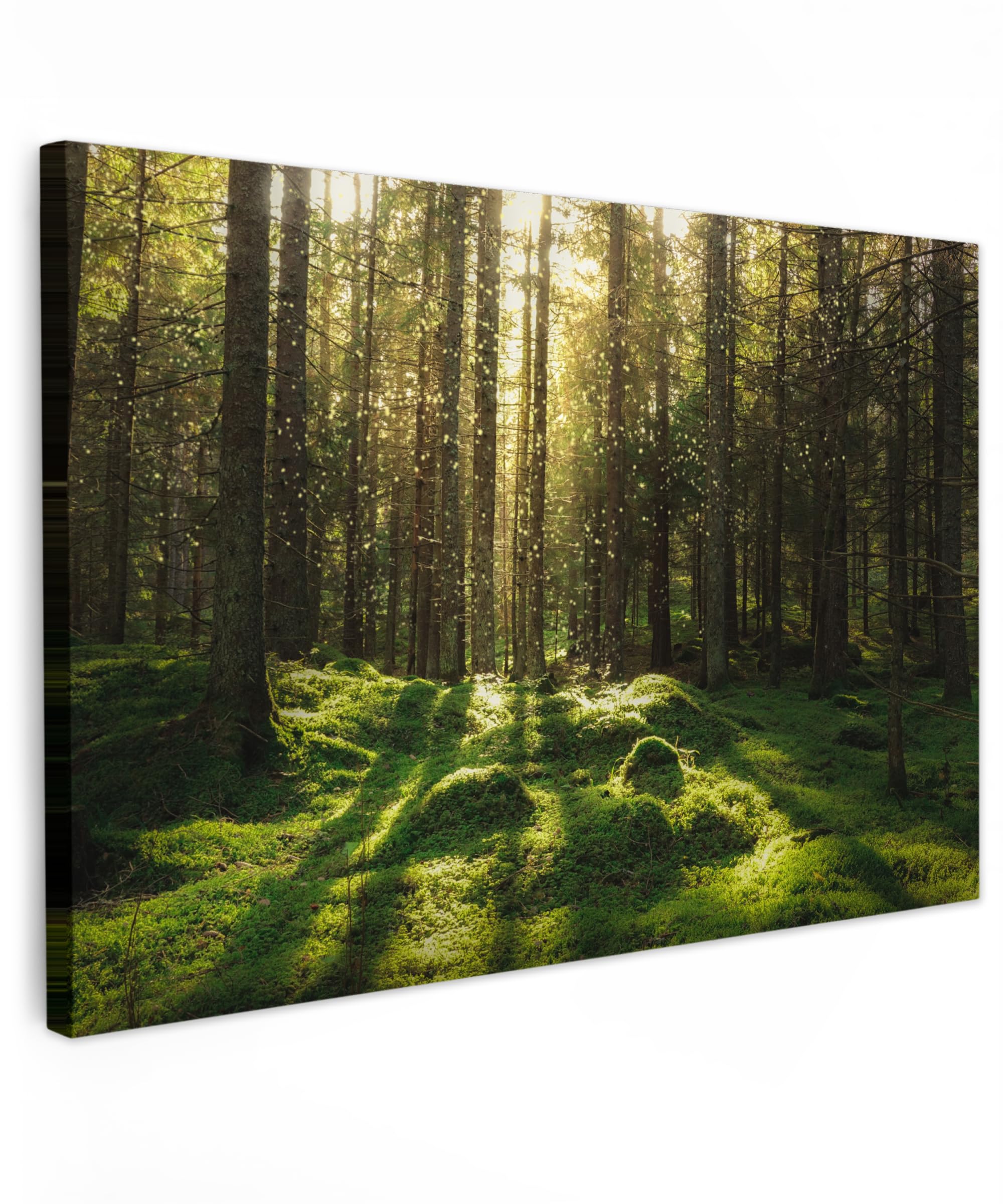 MuchoWow© Wandbilder 90x60 cm Schlafzimmer Home Deko Wohnung Bild Wohnzimmer Fotoleinwand Wand Bilder Leinwand Wall Decor Bäume - Wandbild Wald - Moos - Pflanzen - Sonne - Natur